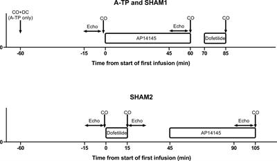 Inhibition of KCa2 and Kv11.1 Channels in Pigs With Left Ventricular Dysfunction